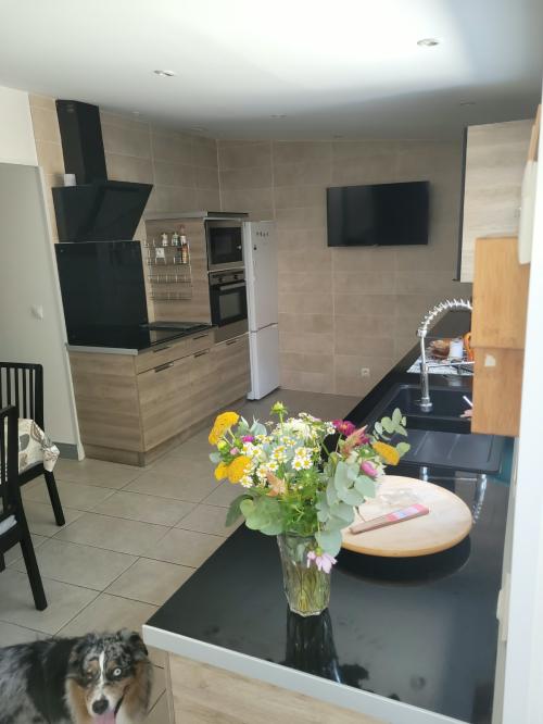 Jonzac - location curiste LC-4540 n°8