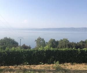 Photo 3 pièces avec vue sur le Lac Leman en raz-de-chaussée à 7 km des thermes d'Evian